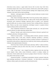 Marketingo strategija: dienraštis UAB "Verslo žinios" 19 puslapis