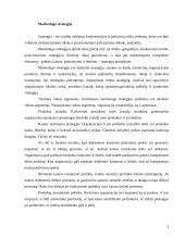 Marketingo strategija: dienraštis UAB "Verslo žinios" 3 puslapis