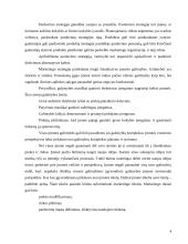 Marketingo strategija: dienraštis UAB "Verslo žinios" 4 puslapis
