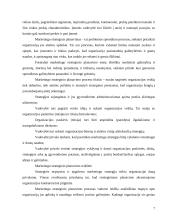 Marketingo strategija: dienraštis UAB "Verslo žinios" 7 puslapis