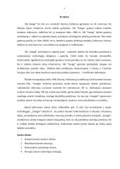 Marketingo strategijos parengimas: šaldytuvų gamyba AB "Snaigė" 3 puslapis