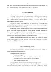 Marketingo strategijos parengimas: šaldytuvų gamyba AB "Snaigė" 7 puslapis