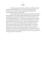 Marketingo tyrimas: produkcijos pardavimas UAB "Būsto įranga" 2 puslapis