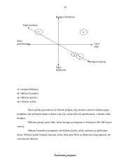Marketingo tyrimas: produkcijos pardavimas UAB "Būsto įranga" 15 puslapis