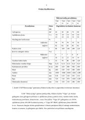 Marketingo tyrimas: produkcijos pardavimas UAB "Būsto įranga" 4 puslapis