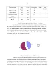 Marketingo tyrimas: produkcijos pardavimas UAB "Būsto įranga" 8 puslapis