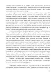 Marketingo tyrimo procesas ir jo etapai 17 puslapis