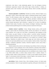 Marketingo tyrimo procesas ir jo etapai 19 puslapis