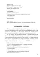 Marketingo tyrimo procesas ir jo etapai 4 puslapis
