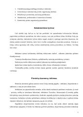 Marketingo tyrimo procesas ir jo etapai 6 puslapis