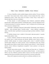 Maršrutas Vilnius - Birštonas 3 puslapis