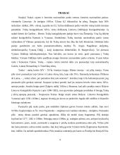 Maršrutas Vilnius - Birštonas 4 puslapis