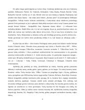 Maršrutas Vilnius - Birštonas 6 puslapis
