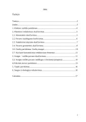 Kėlimo mašinos pavaros projektavimas 2 puslapis