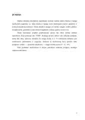Kėlimo mašinos pavaros projektavimas 3 puslapis