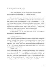 Kėlimo mašinos pavaros projektavimas 10 puslapis