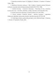 Mazgo konstrukcijos skaičiavimas 18 puslapis
