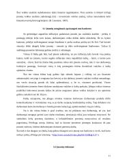 Mažų ir vidutinių įmonių veiklos analizė ir vaidmuo šalies ūkiui 11 puslapis