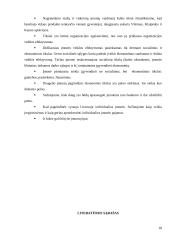 Mažų ir vidutinių įmonių veiklos analizė ir vaidmuo šalies ūkiui 18 puslapis