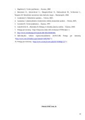 Mažų ir vidutinių įmonių veiklos analizė ir vaidmuo šalies ūkiui 19 puslapis