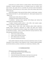 Mažų ir vidutinių įmonių veiklos analizė ir vaidmuo šalies ūkiui 7 puslapis