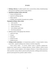 Medžiagų valdymas 8 puslapis
