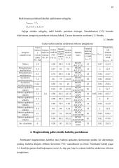 Metalo apdirbimo įmonės elektros sistema 19 puslapis