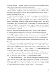 Mikroelementų įtaka paukščių produktyvumui 11 puslapis