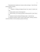 Mobilių technologijų taikymo sričių analizė 3 puslapis