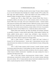 Mobilių technologijų taikymo sričių analizė 5 puslapis