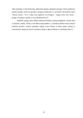 Mokėjimo kortelė — elektroninė piniginė 14 puslapis