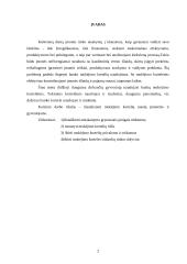 Mokėjimo kortelė — elektroninė piniginė 2 puslapis