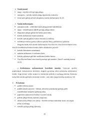 Mokėjimo kortelė — elektroninė piniginė 20 puslapis