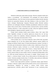 Mokėjimo kortelė — elektroninė piniginė 3 puslapis