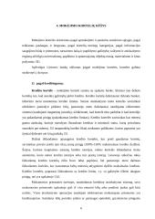 Mokėjimo kortelė — elektroninė piniginė 6 puslapis