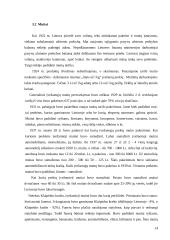 Mokesčių raida 1923 – 1940 metų laikotarpiu 14 puslapis