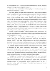 Mokesčių raida 1923 – 1940 metų laikotarpiu 5 puslapis