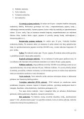 Mokesčių sistemos Europos Sąjungos (ES) šalyse 12 puslapis