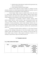 Mokesčių sistemos Europos Sąjungos (ES) šalyse 20 puslapis