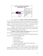 Mokesčių vaidmuo valstybės pajamų formavime Lietuvoje 12 puslapis