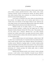 Mokesčių vaidmuo valstybės pajamų formavime Lietuvoje 2 puslapis