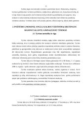 Mokinių anglų kalbos mokymosi pasiekimų vertinimas 11 puslapis