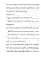 Mokinių anglų kalbos mokymosi pasiekimų vertinimas 6 puslapis