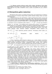 Monopolinės tendencijos Lietuvos ūkyje 11 puslapis