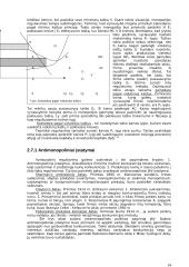 Monopolinės tendencijos Lietuvos ūkyje 15 puslapis