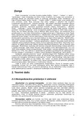 Monopolinės tendencijos Lietuvos ūkyje 3 puslapis