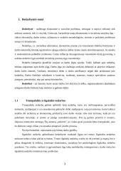 Moterų bedarbystė 3 puslapis