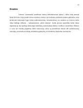 Moterų ir vyrų įsidarbinimo galimybės informacijos valdymo srityse 13 puslapis