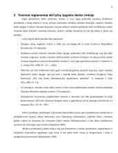 Moterų ir vyrų įsidarbinimo galimybės informacijos valdymo srityse 8 puslapis