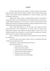 Muitų politika Lietuvoje 2 puslapis